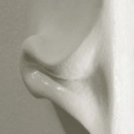 Analia-Segal 04