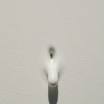 Analia-Segal 09